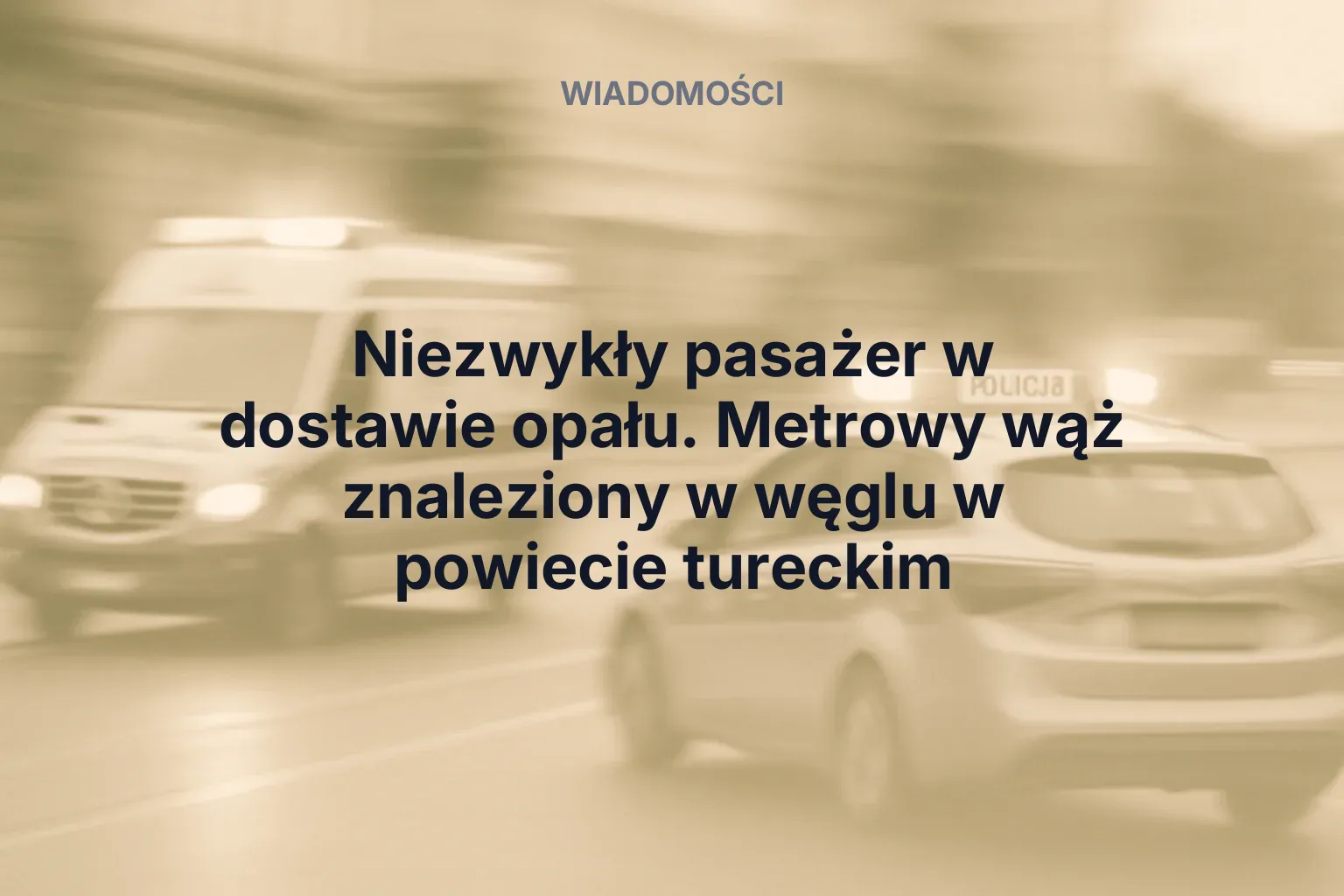 Artykuł: Niezwykły pasażer w dostawie opału. Metrowy wąż znaleziony w węglu w powiecie tureckim